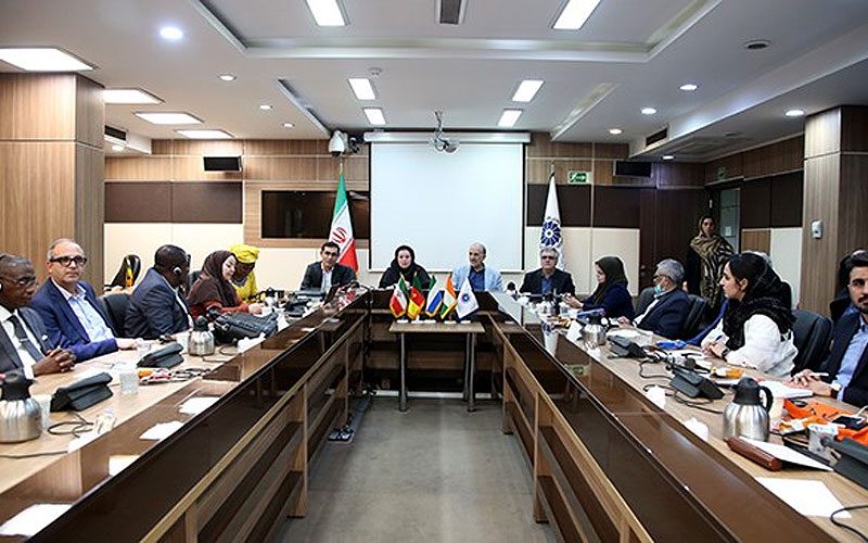 بخش خصوصی ایران به کشت فراسرزمینی در آفریقا علاقهمند است بخش خصوصی ایران به کشت فراسرزمینی در آفریقا علاقهمند است
