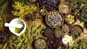 دبیر کارگروه فناوری و کارآفرینی ستاد گیاهان دارویی:خام فروشی گیاهان دارویی را کاهش می دهیم دبیر کارگروه فناوری و کارآفرینی ستاد گیاهان دارویی:خام فروشی گیاهان دارویی را کاهش می دهیم