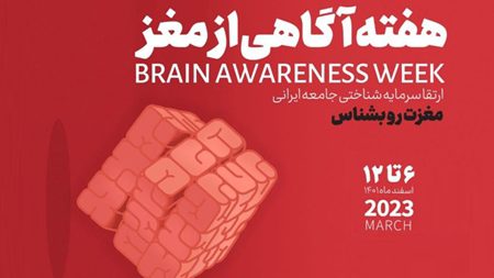 هشتمین سال متوالی هفته آگاهی از مغز؛ سرمایههای شناختی جامعه ایرانی افزایش مییابد هشتمین سال متوالی هفته آگاهی از مغز؛ سرمایههای شناختی جامعه ایرانی افزایش مییابد
