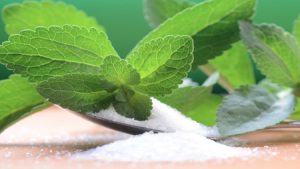 کشت گیاه جایگزین قند از طریق کشت بافت کشت گیاه جایگزین قند از طریق کشت بافت