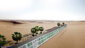 بیابانزدایی از کشور با کمک پروژههای شورورزی در اولویت است بیابانزدایی از کشور با کمک پروژههای شورورزی در اولویت است