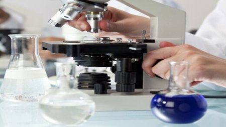 پژوهشگران از خدمات جدید آزمایشگاه پیشبالینی بهرهمند میشوند پژوهشگران از خدمات جدید آزمایشگاه پیشبالینی بهرهمند میشوند