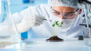 فناوریهای زیستی ایرانی در اختیار کشورهای همسایه قرار میگیرد فناوریهای زیستی ایرانی در اختیار کشورهای همسایه قرار میگیرد