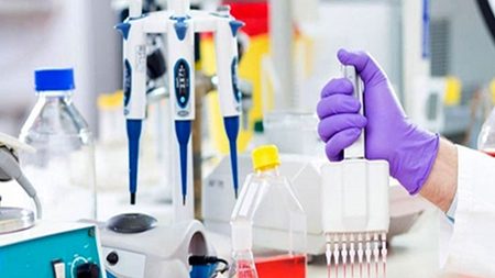 افزایش تعداد خدمات اعتباری آزمایشگاهی تا مرز 2 میلیون خدمت افزایش تعداد خدمات اعتباری آزمایشگاهی تا مرز 2 میلیون خدمت