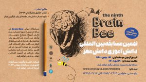 فناوری شناختی| مغزها رقابت میکنند فناوری شناختی| مغزها رقابت میکنند
