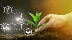 9 گام ملی برای توسعه کشاورزی زیستی و قراردادی برداشته خواهد شد 9 گام ملی برای توسعه کشاورزی زیستی و قراردادی برداشته خواهد شد
