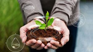بازار بزرگ واردات مواد غذایی را با استفاده از فناوریهای زیستی کوچک کنیم بازار بزرگ واردات مواد غذایی را با استفاده از فناوریهای زیستی کوچک کنیم