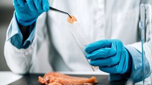 تجاریسازی مرغ لاین را اجرای 6 برنامه ملی توسعه میدهد تجاریسازی مرغ لاین را اجرای 6 برنامه ملی توسعه میدهد