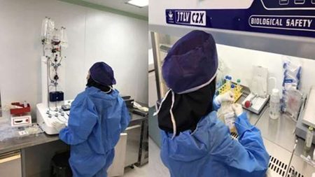 دانش بنیان/ فرآوری انواع سلولهای ایمنی و خونی درجهت درمان سرطان و تومور دانش بنیان/ فرآوری انواع سلولهای ایمنی و خونی درجهت درمان سرطان و تومور
