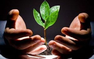 امهال سودکارمزدی و جریمههای دیرکرد تسهیلات پرداختی به بخش کشاورزی امهال سودکارمزدی و جریمههای دیرکرد تسهیلات پرداختی به بخش کشاورزی