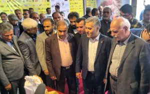نقش موفق بانوان در صنعت کیک و قنادی نقش موفق بانوان در صنعت کیک و قنادی