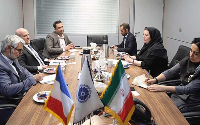 صنایع غذایی، پزشکی و دارویی محور همکاریهای تجاری ایران و فرانسه قرار گیرد صنایع غذایی، پزشکی و دارویی محور همکاریهای تجاری ایران و فرانسه قرار گیرد