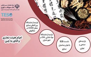 اعزام هیئت تجاری و فناوری ایران به چین اعزام هیئت تجاری و فناوری ایران به چین