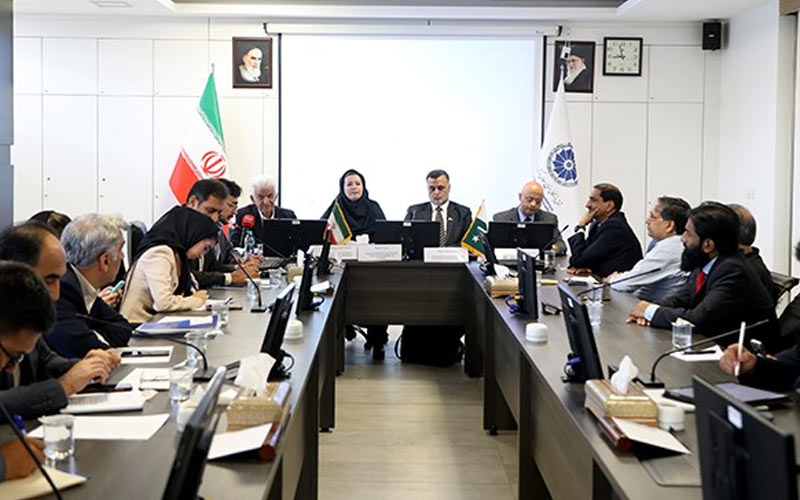 همکاریهای ایران و پاکستان در صنعت خودرو جدیتر دنبال خواهد شد همکاریهای ایران و پاکستان در صنعت خودرو جدیتر دنبال خواهد شد
