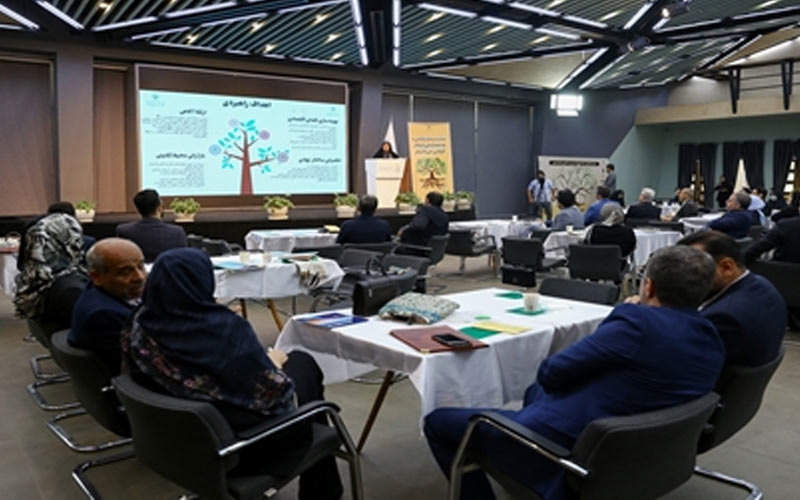 تسهیلگری، نقش معاونت علمی در حوزه مدیریت داراییهای فکری تسهیلگری، نقش معاونت علمی در حوزه مدیریت داراییهای فکری