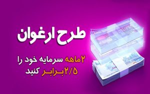 مبلغ تسهیلات طرح ارغوان بانک سینا افزایش یافت مبلغ تسهیلات طرح ارغوان بانک سینا افزایش یافت