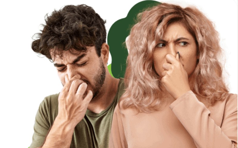 سایت «بو نده» راهاندازی شد سایت «بو نده» راهاندازی شد
