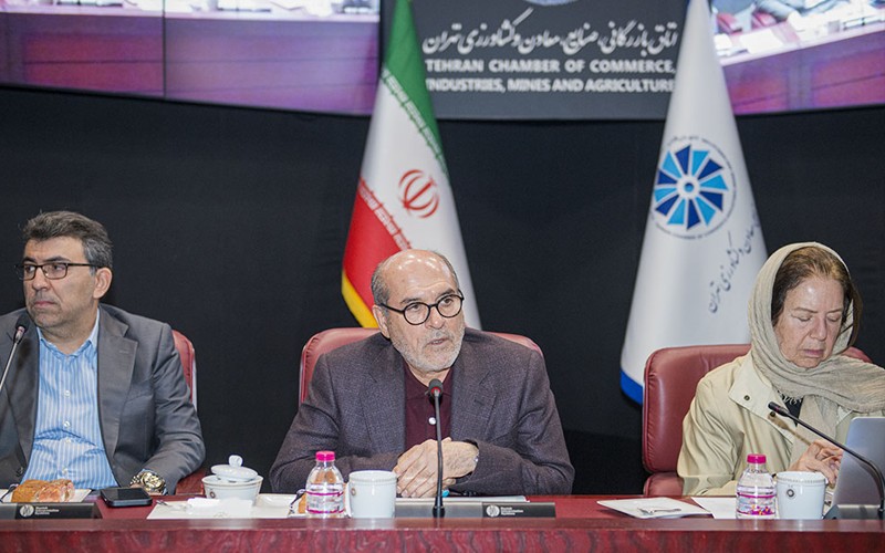 اصلیترین مشکل بنگاههای اقتصادی، عدم توانایی تامین مالی است اصلیترین مشکل بنگاههای اقتصادی، عدم توانایی تامین مالی است