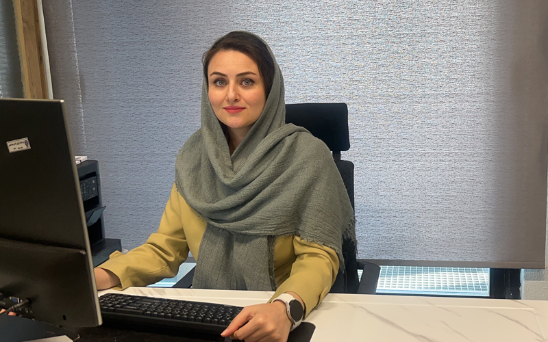 نقش اثرگذار دولت و سازمانها بر توسعه یا افول منابع انسانی نقش اثرگذار دولت و سازمانها بر توسعه یا افول منابع انسانی