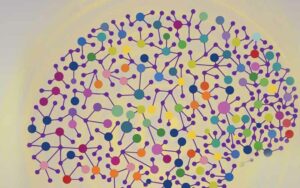 دهمین همایش بینالمللی علوم شناختی برگزار میشود دهمین همایش بینالمللی علوم شناختی برگزار میشود