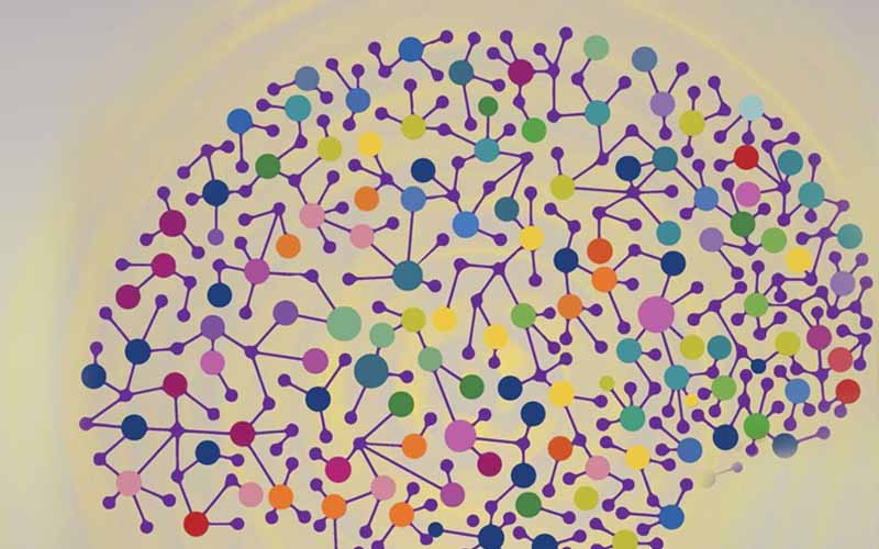 دهمین همایش بینالمللی علوم شناختی برگزار میشود دهمین همایش بینالمللی علوم شناختی برگزار میشود