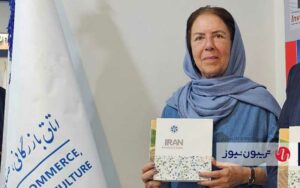 بروشورهای راهنمای سرمایهگذاری برای انگارهسازی منتشر میشوند بروشورهای راهنمای سرمایهگذاری برای انگارهسازی منتشر میشوند