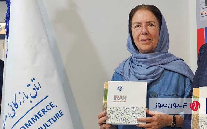 بروشورهای راهنمای سرمایهگذاری برای انگارهسازی منتشر میشوند بروشورهای راهنمای سرمایهگذاری برای انگارهسازی منتشر میشوند