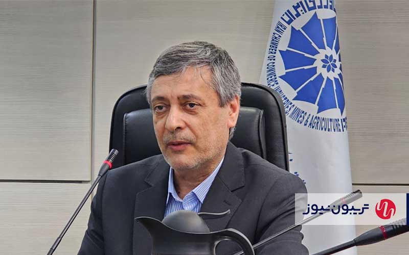 سید مهدی طبیب‌زاده، رئیس اتاق بازرگانی کرمان، 