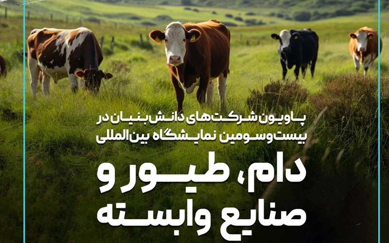 حضور شرکتهای دانشبنیان در نمایشگاه ایران پلکس حضور شرکتهای دانشبنیان در نمایشگاه ایران پلکس