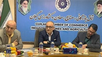 مباحث مالیاتی واحدهای تولیدی را دچار مشکل نکند مباحث مالیاتی واحدهای تولیدی را دچار مشکل نکند