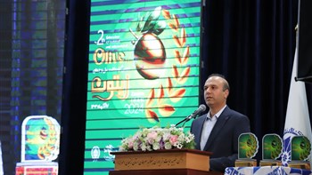 افزایش صادرات زیتون، نیازمند رویکرد نو در فرآیند تولید و برندسازی است